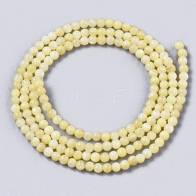 Natural Freshwater Shell Beads Strands BSHE-T009-01E-1