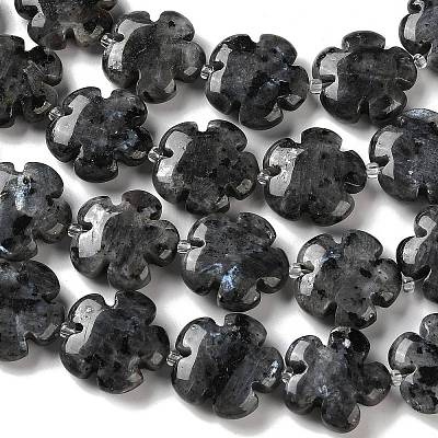 Natural Larvikite Beads Strands G-L241A-21-1