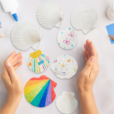 14Pcs 4 Styles Natural Shell Painting Accessories DIY-NB0012-05-1