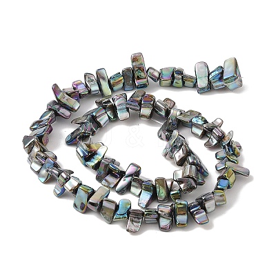 Natural Freshwater Shell Beads Strands BSHE-H018-07E-1