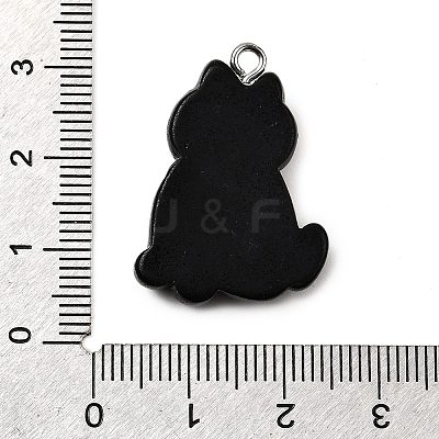 Halloween Opaque Resin Pendants CRES-D314-01P-03-1