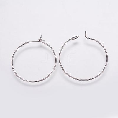 316 Surgical Stainless Steel Hoop Earrings Findings STAS-K146-039-25mm-1