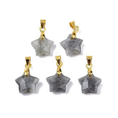 Natural Labradorite Charms G-N326-142-06-1