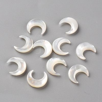 Natural White Shell Beads SSHEL-Q311-004A-01-1