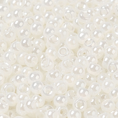 Glass Seed Beads SEED-H002-E-A141-1