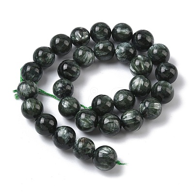 Natural Seraphinite Beads Strands G-C270-O01-13-1