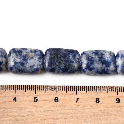 Natural Blue Spot Jasper Beads Strands G-S386-A05-1