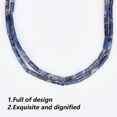 2 Strands Natural Sodalite Beads Strands G-GO0001-42-1