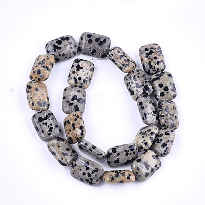 Natural Dalmatian Jasper Beads Strands G-T121-16-1