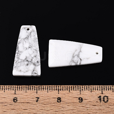Natural Howlite Pendants G-Q601-10F-1