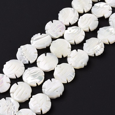 Natural Trochid Shell Beads Strands SSHEL-G023-16B-1
