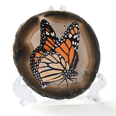 Printed Natural Agate Slice Stone Ornament DJEW-M011-03B-1
