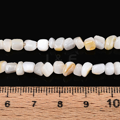 Natural Freshwater Shell Beads Strands SHEL-N038-06A-1