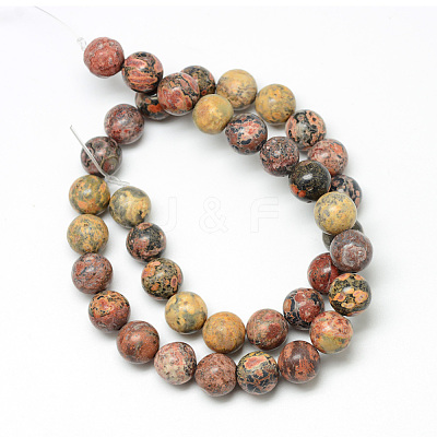 Natural Leopard Skin Jasper Bead Strands G-R345-8mm-30-1