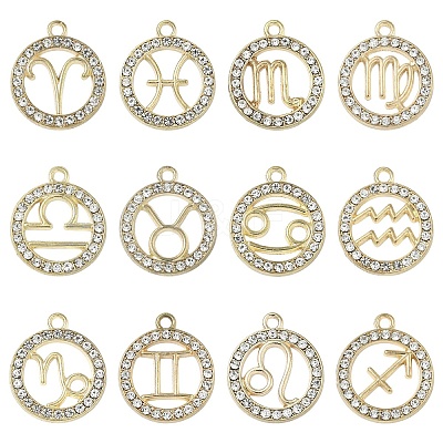 12Pcs 12 Styles Zinc Alloy Crystal Rhinestone Pendants FIND-YW0010-43-1
