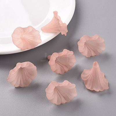 Transparent Acrylic Beads BSF796-C11-1