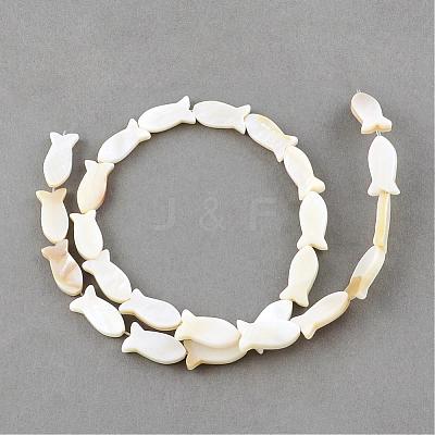 Natural Sea Shell Beads Strands SSHEL-Q296-39-1
