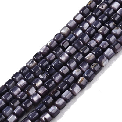 Natural Freshwater Shell Beads Strands SHEL-N003-33-A01-1