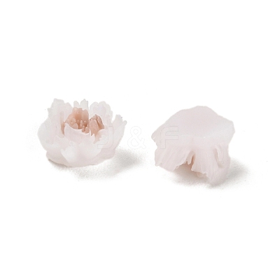 Luminous Resin Decoden Cabochons RESI-K036-06F-01-1
