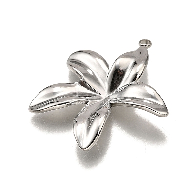 304 Stainless Steel Pendants STAS-M116-03P-1