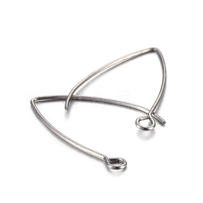 Tarnish Resistant 304 Stainless Steel Earring Hooks STAS-F191-02P-B-1