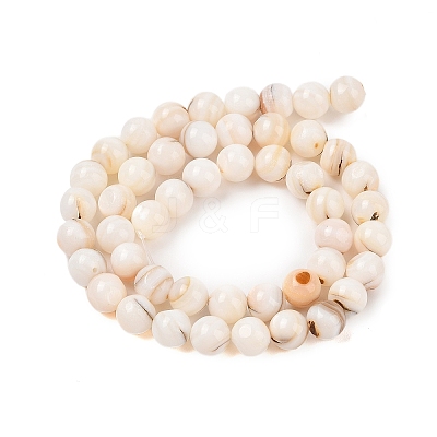 Natural Freshwater Shell Beads Strands SHEL-T011-02-8mm-1