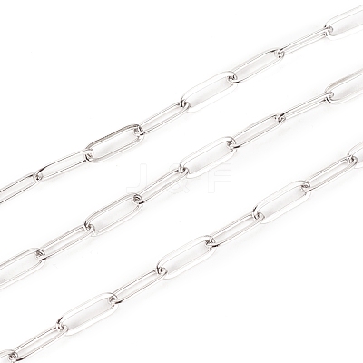 Tarnish Resistant 304 Stainless Steel Paperclip Chains STAS-K209-07P-1