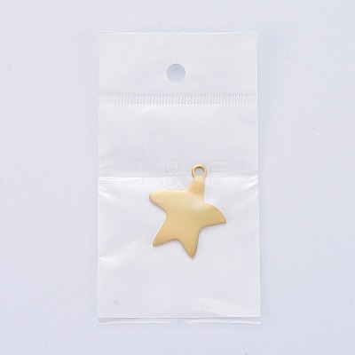 304 Stainless Steel Pendants LS-STAS-I140-13G-1