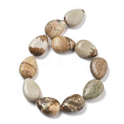 Natural Picture Jasper Beads Strands G-P528-L24-01-1