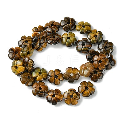 Natural Tiger Eye Beads Strands G-H023-B12-01-1