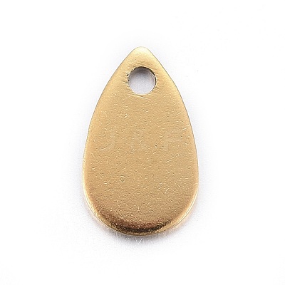 Ion Plating(IP) Stainless Steel Charms STAS-L211-02B-G-1