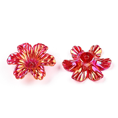 Transparent Acrylic Bead Caps PACR-N015-11-1