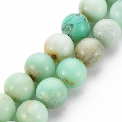 Natural Chrysoprase Beads Strands G-S333-10mm-037-1