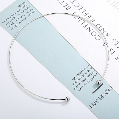 Non-Tarnish 304 Stainless Steel Necklaces NJEW-F312-01P-1