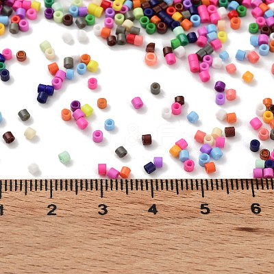 Baking Paint Glass Seed Beads X-SEED-S042-05B-48-1