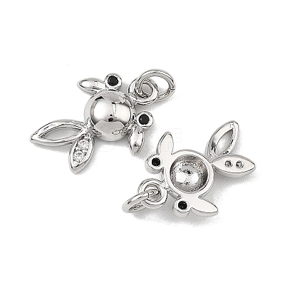 SHEGRACE Brass Cubic Zirconia Charms XGRQ3P039-586P-1