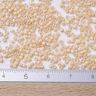 MIYUKI Delica Beads SEED-X0054-DB0205-1