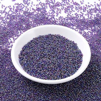 MIYUKI Round Rocailles Beads X-SEED-G007-RR0356-1