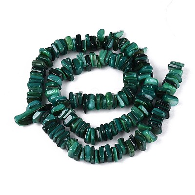 Natural Freshwater Shell Beads Strands SHEL-T020-41-1