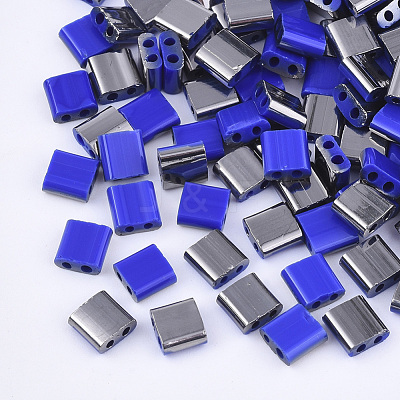 FGB 2-Hole Glass Seed Beads X-SEED-S031-L-048-H-1
