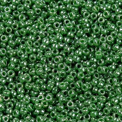 MIYUKI Round Rocailles Beads X-SEED-G009-RR0431-1