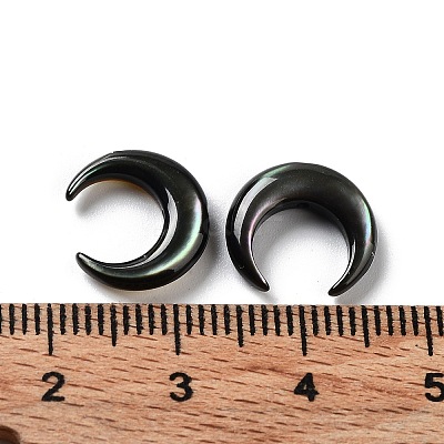 Natural Black Lip Shell Beads SHEL-M020-04A-1