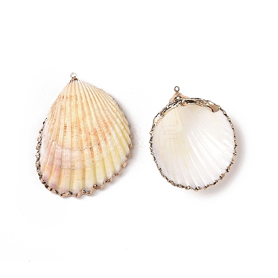 Shell Pendants SHEL-P075-03-1