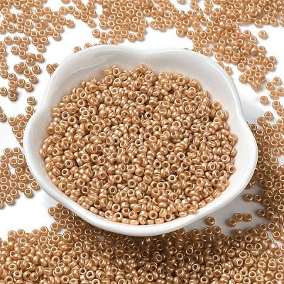 Baking Paint Glass Seed Beads SEED-P006-03A-24-1