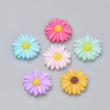 Resin Cabochons CRES-Q197-24-1