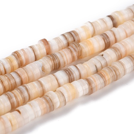 Natural Shell Beads BSHE-B003-13A-01-1