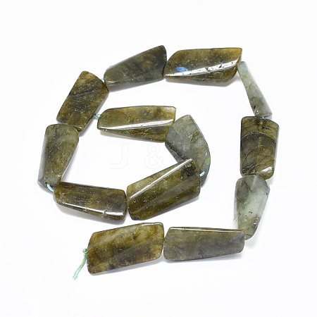 Natural Labradorite Beads Strands G-F632-02-1