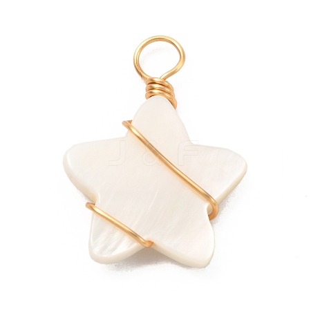 Natural Freshwater Shell Pendants PALLOY-JF01038-1