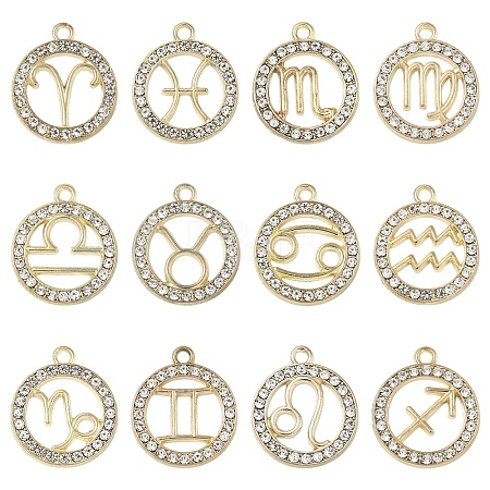 12Pcs 12 Styles Zinc Alloy Crystal Rhinestone Pendants FIND-YW0010-43-1