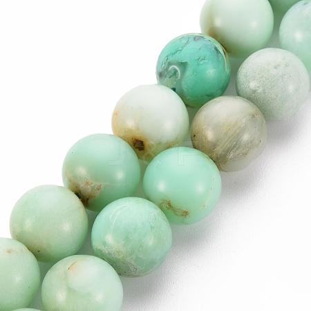 Natural Chrysoprase Beads Strands G-S333-10mm-037-1